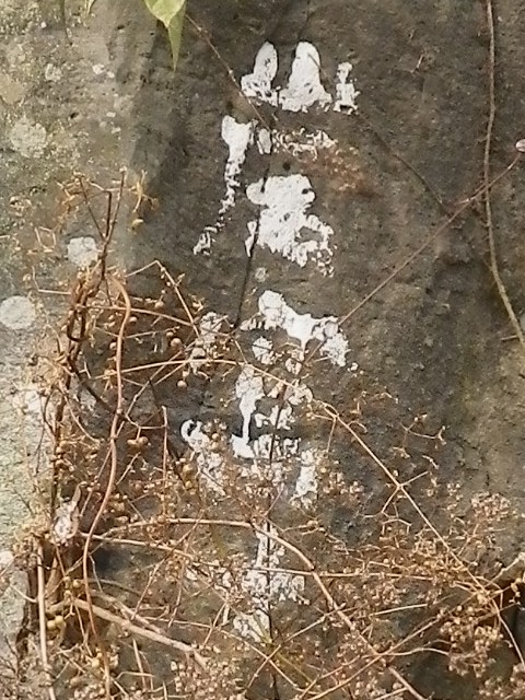 kisei_053.jpg 154KB