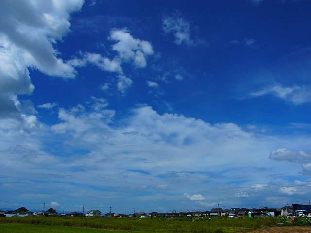 hikoneshi_kawase_01.jpg 58KB