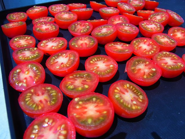 petit_tomato.jpg 143KB