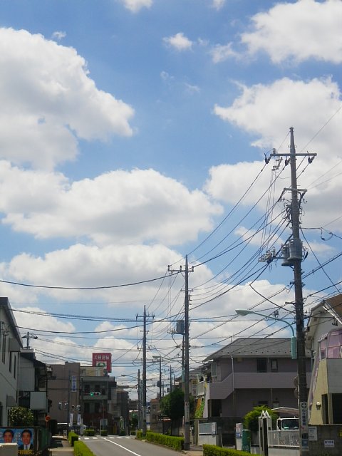 summer.jpg 76KB