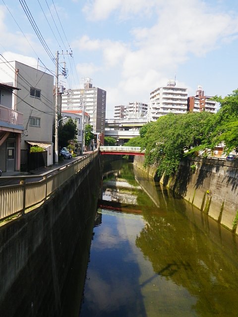 syakujiiigawa.jpg 118KB