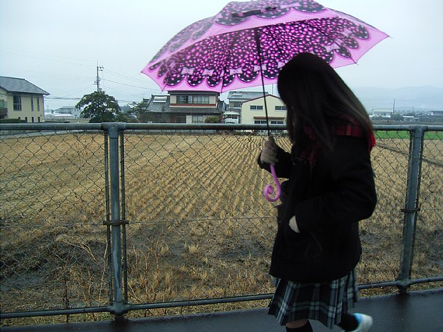 umbrella.jpg 146KB