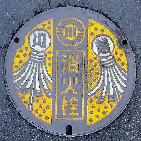 006_manhole_cover.jpg 103KB