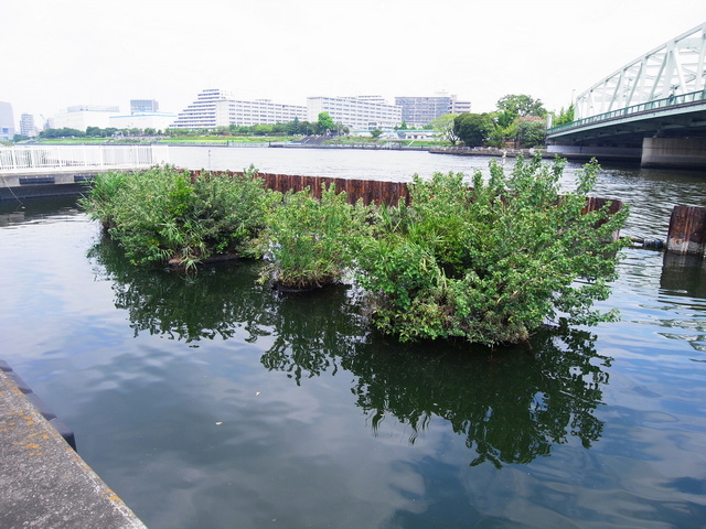 120414_ishikawajima_park_04.jpg 175KB