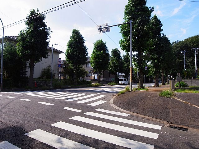 trek_2016_85.jpg 106KB