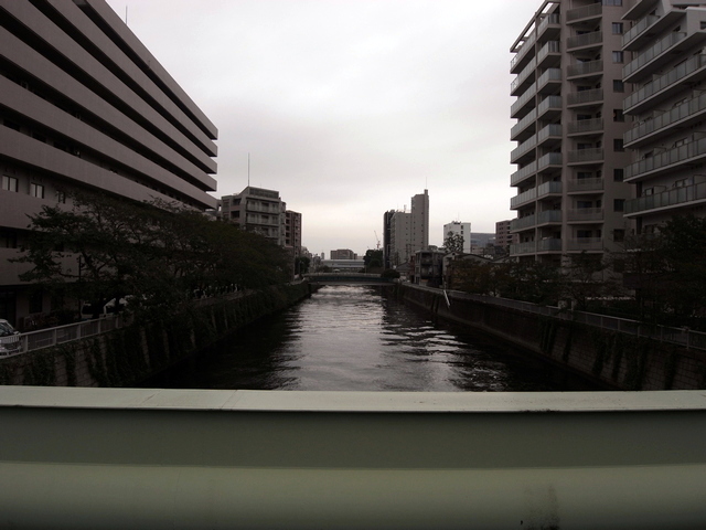 昭和橋から上流方向