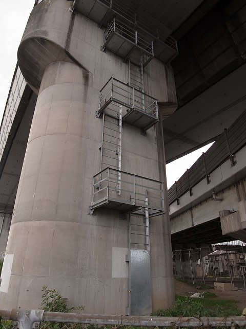 dnky.jpg 58KB
