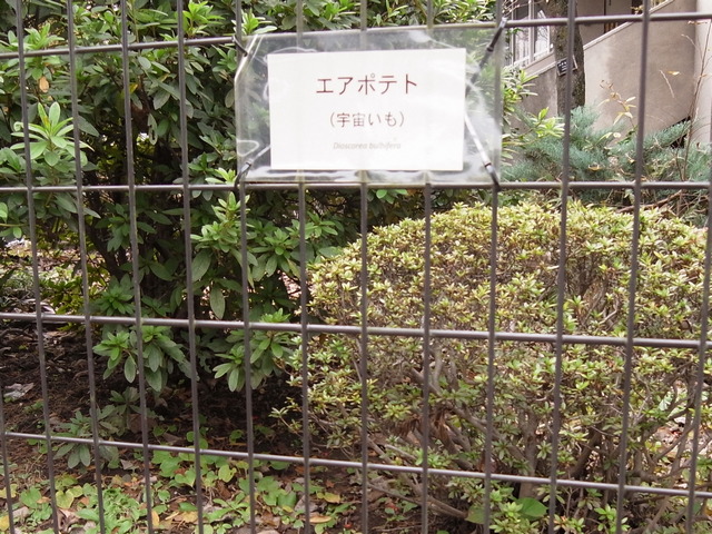 埼玉県花と緑の振興センター