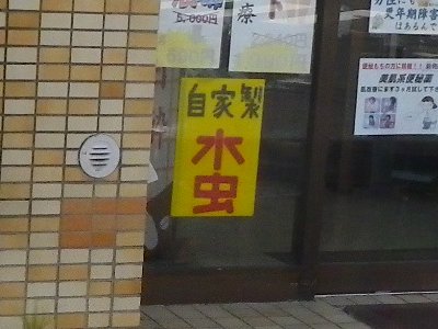 jikasei_mizumushi.jpg 46KB