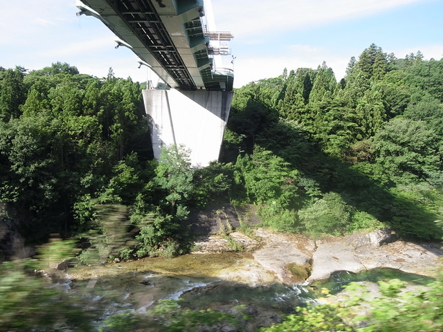0818_03c_kamimoku.JPG 201KB