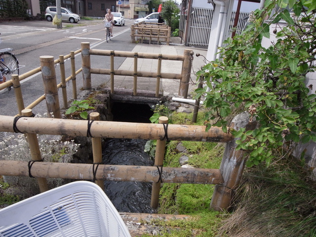 0819_44f_kani.JPG 214KB