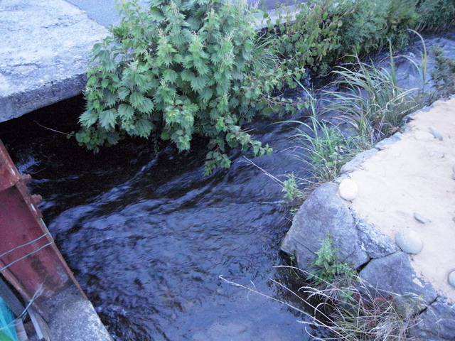 0819_46e_canal.JPG 230KB