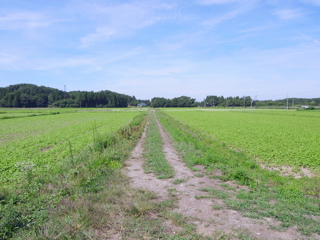 0820_53_aidu_kowashimizu.JPG 174KB