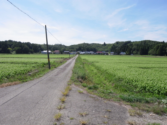 0820_55_aidu_kowashimizu.JPG 184KB