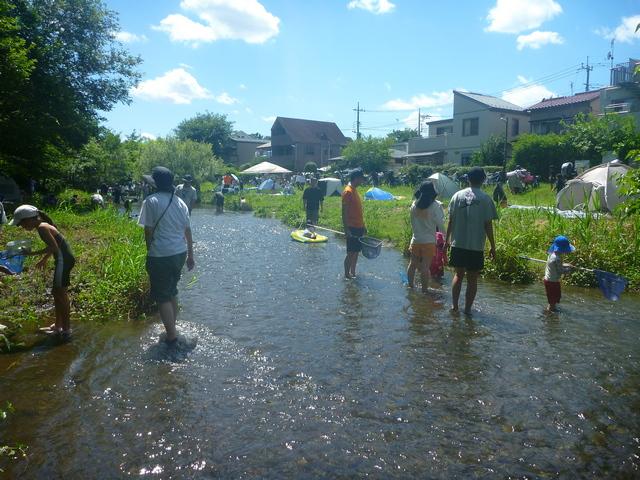 落合川の親水公園