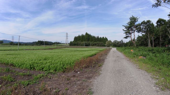 touhoku_shizen_hodou_16.jpg 62KB