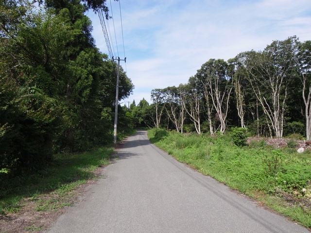 touhoku_shizen_hodou_20.jpg 189KB