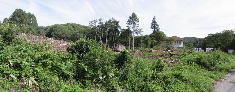 touhoku_shizen_hodou_21.jpg 72KB
