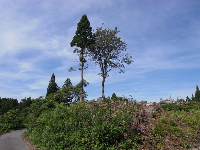 touhoku_shizen_hodou_22.jpg 178KB