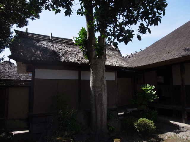 TakizawaHonjin_19.jpg 197KB