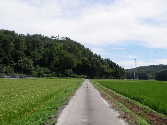 向羽黒山城