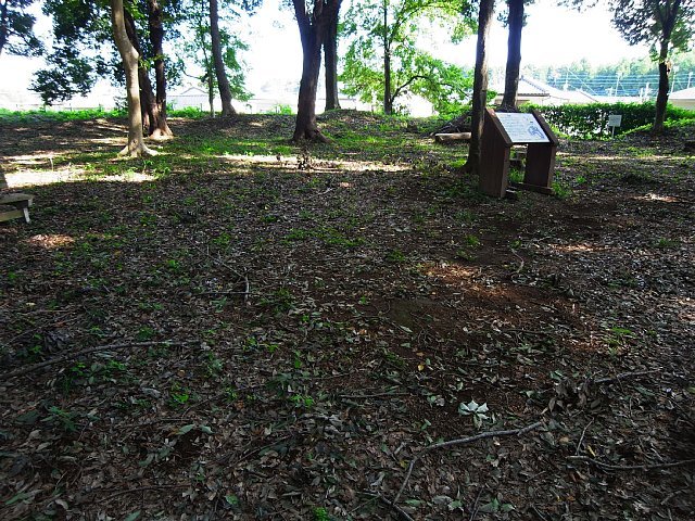 osaka_castle_05.jpg 155KB