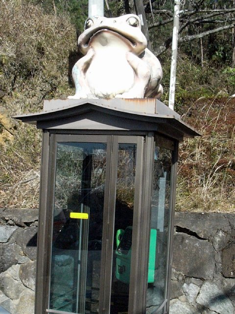 tsukuba_20090101_001.JPG 100KB