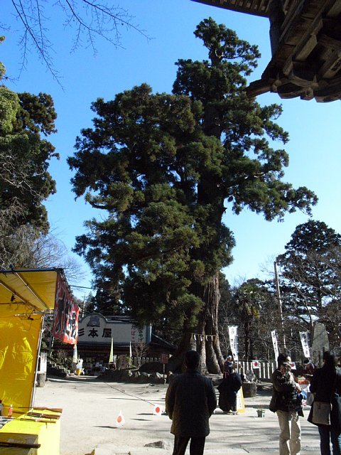 tsukuba_20090101_005.JPG 102KB
