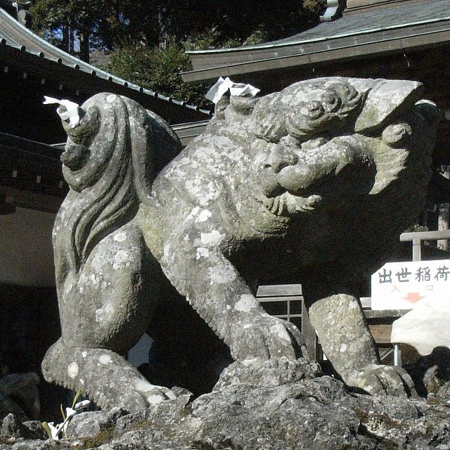 tsukuba_20090101_012.JPG 147KB