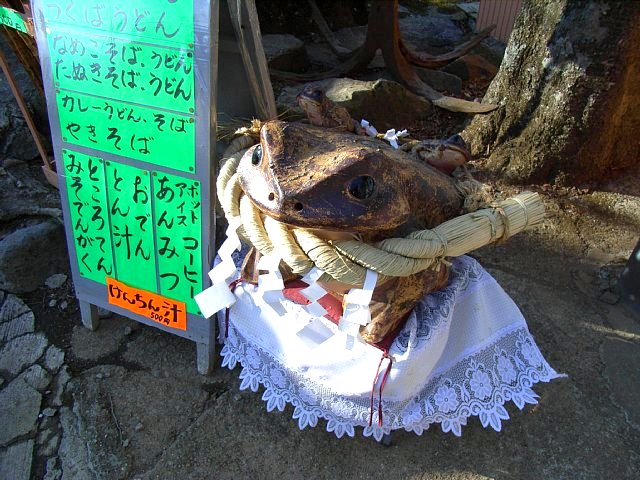 tsukuba_20090101_024.JPG 98KB