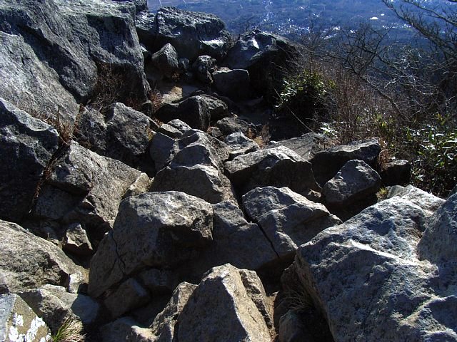 tsukuba_20090101_029.JPG 110KB