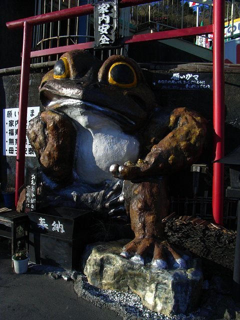 tsukuba_20090101_033.JPG 84KB