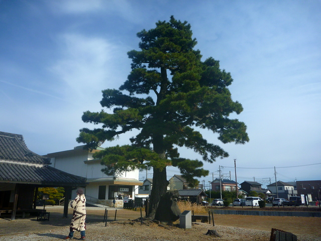 新居関所資料館