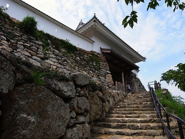 遠江国　浜松城