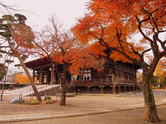 gokokuji_17.jpg 132KB