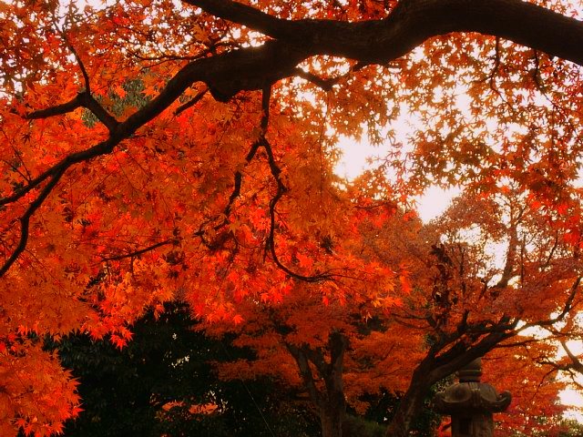 gokokuji_21.jpg 132KB
