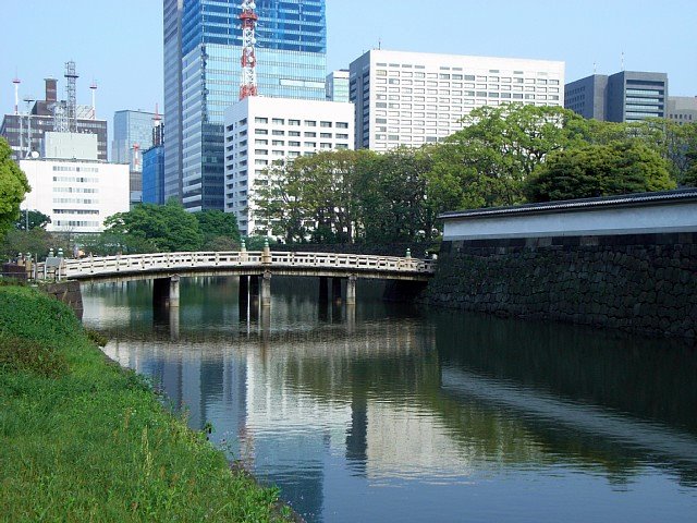 20080427_02.jpg 104KB