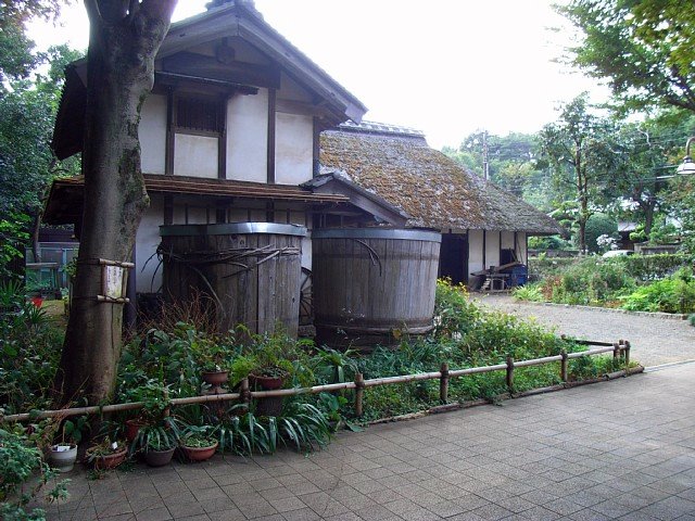 20090927_Tougo_1.jpg 113KB