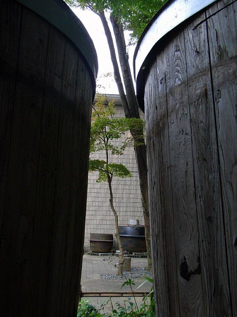 20090927_Tougo_6.jpg 84KB