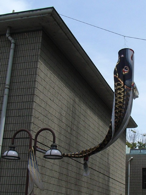 20151011_Koinobori_1.jpg 81KB