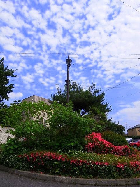 tokiwadai_culdesac_05.jpg 96KB