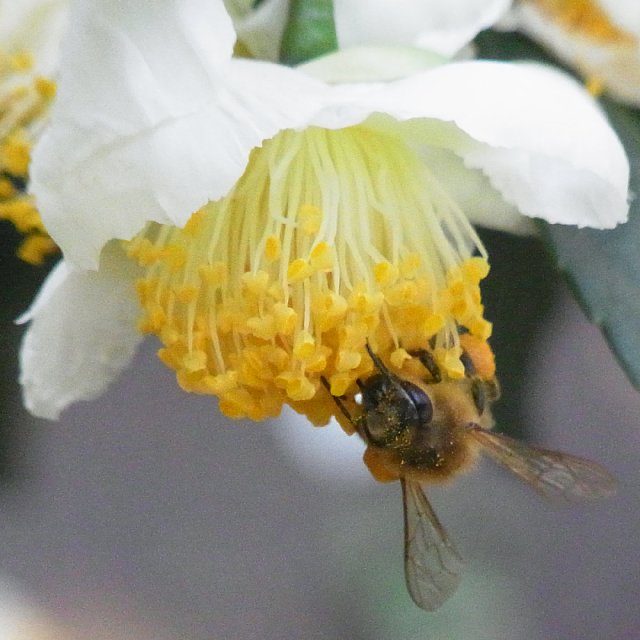 okamoto_008.jpg 106KB 