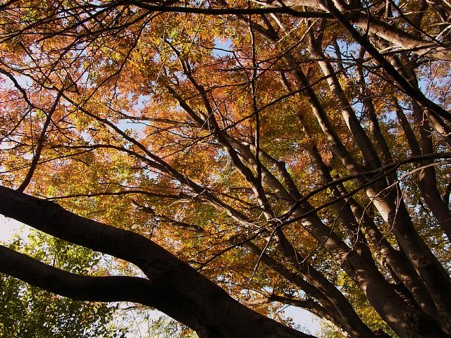 okamoto_010.jpg 171KB 