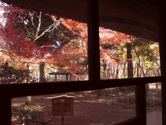 蘆花恒春園　徳冨蘆花旧宅