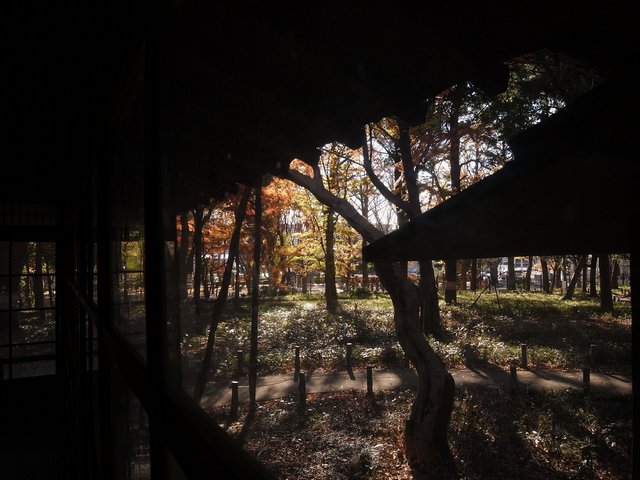 蘆花恒春園　徳冨蘆花旧宅
