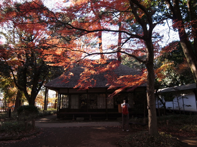 蘆花恒春園　徳冨蘆花旧宅
