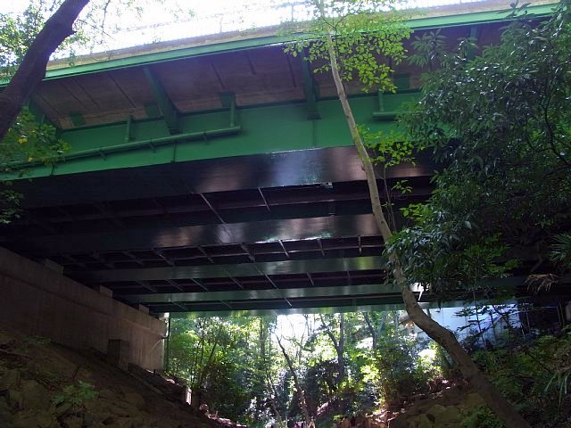 等々力渓谷　玉沢橋