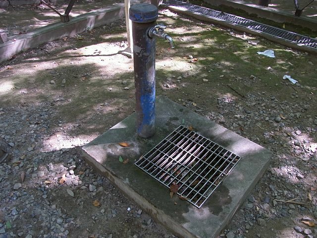 等々力渓谷　洗い場
