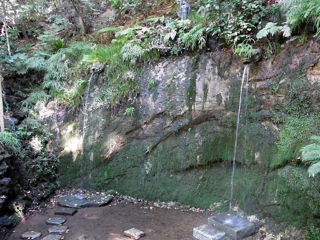 等々力渓谷　不動の滝