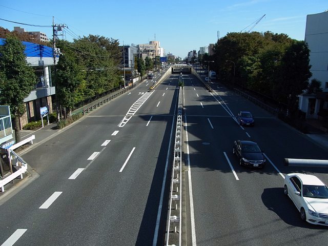 等々力渓谷　玉沢橋　環八通りから